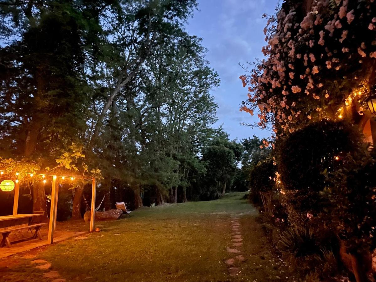 Bed and Breakfast Collina Blu Bolsena Exterior foto