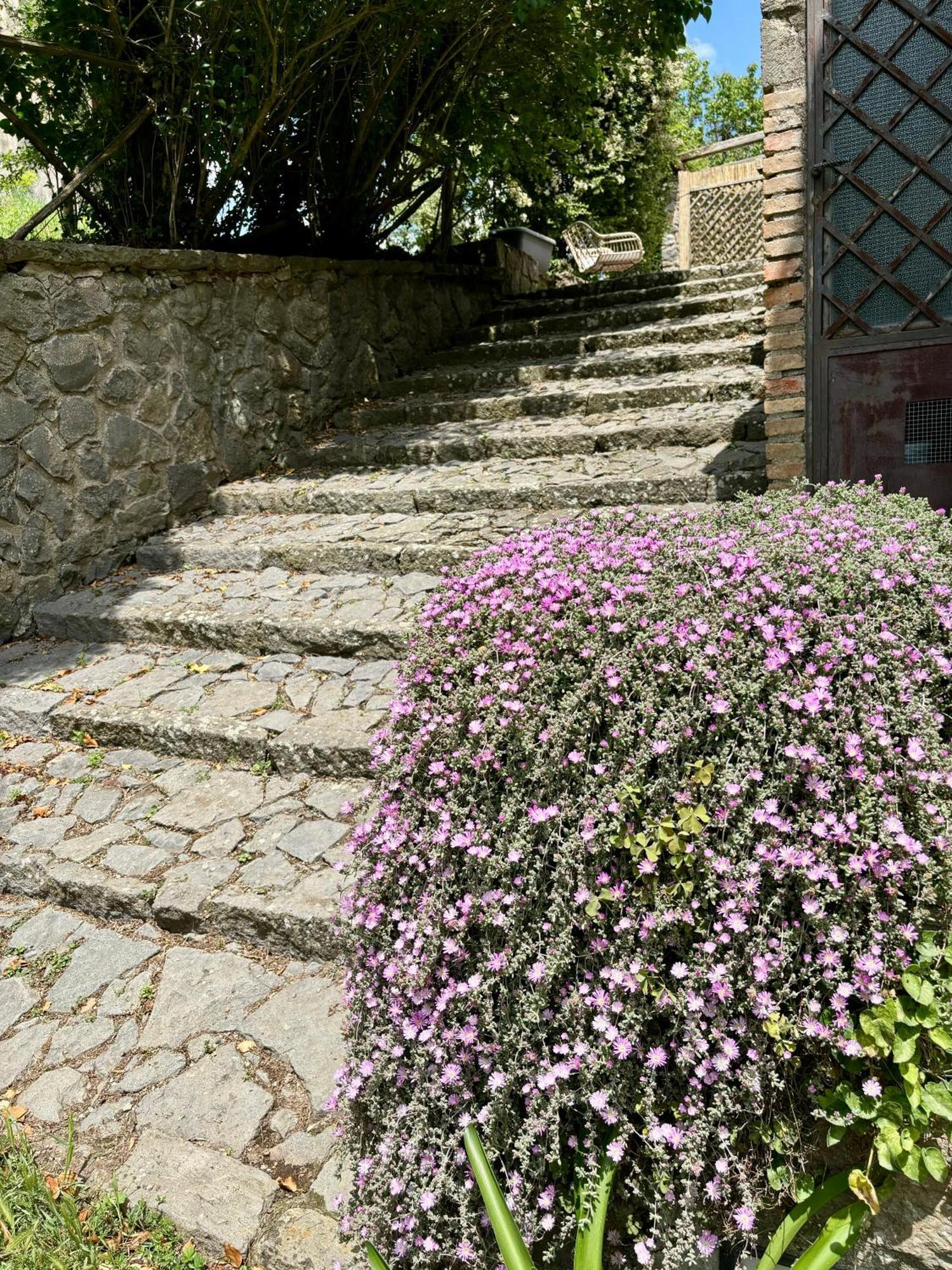 Bed and Breakfast Collina Blu Bolsena Exterior foto