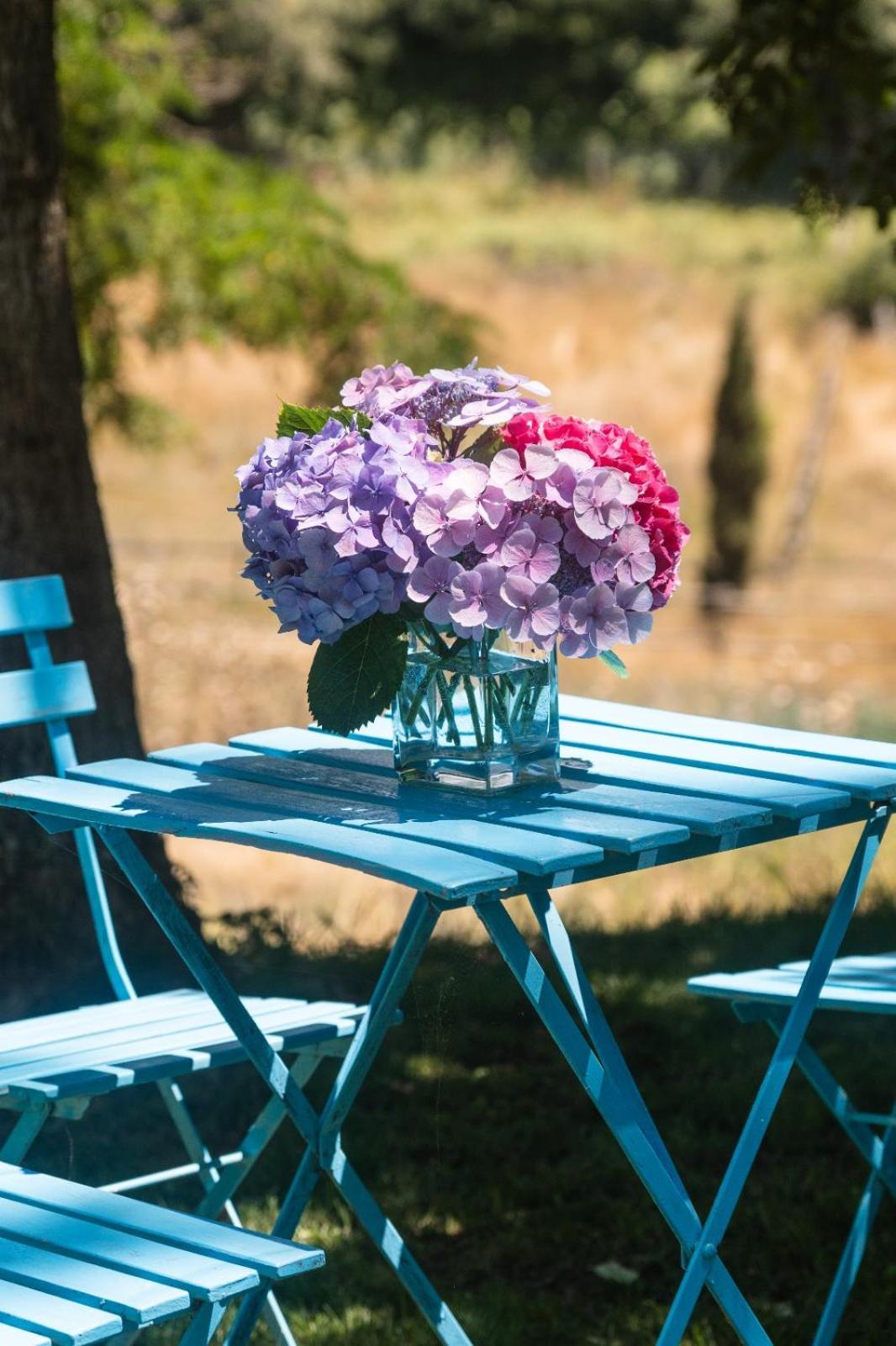 Bed and Breakfast Collina Blu Bolsena Exterior foto